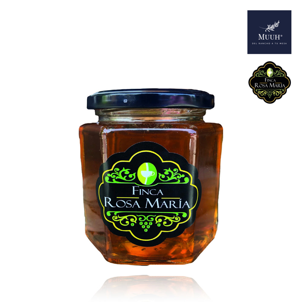 Miel de Abeja Orgánica Pura de Chiapas  Frasco con 335ML