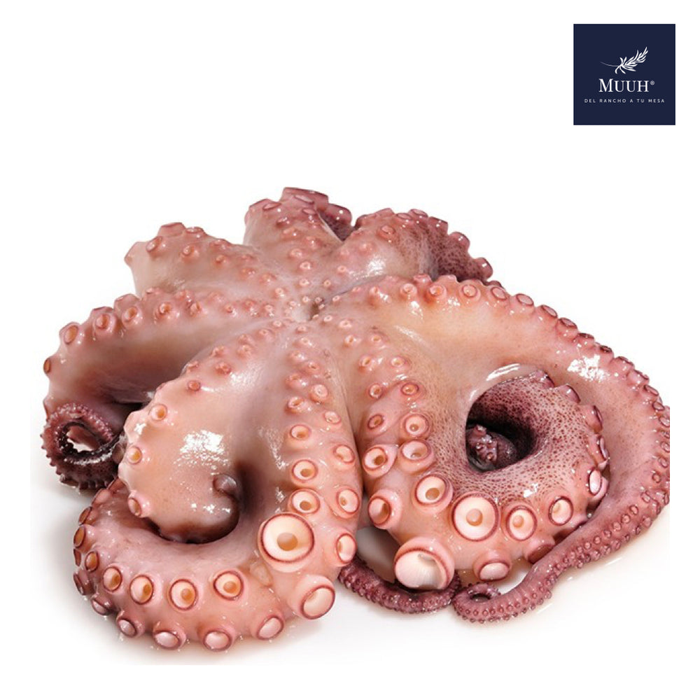 Pulpo Crudo Fresco 1 Kg.