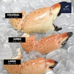 Stone Crabs Frescas Colosal 1 Kg.